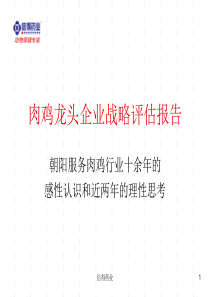 肉鸡龙头企业战略评估报告（PPT 106页）