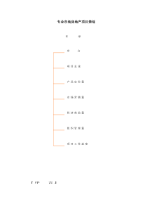 房地产业-专业市场房地产项目策划(DOC 62页)