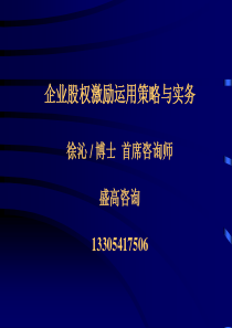 股权激励运用策略与实务(高盛)