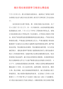 统计局长培训班学习培训心得总结