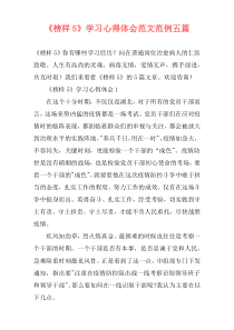 《榜样5》学习心得体会范文范例五篇