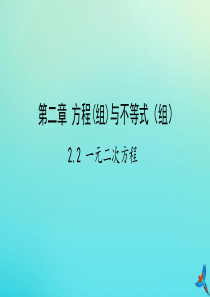 （陕西专用）2019版中考数学一练通 第一部分 基础考点巩固 第二章 方程（组）与不等式（组）2.2