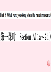 （山西专版）八年级英语下册 Unit 5 What were you doing when the 