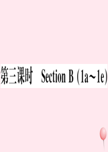 （山西专版）2019秋八年级英语上册 Unit 6 I’m going to study compu