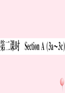 （山西专版）2019秋八年级英语上册 Unit 6 I’m going to study compu