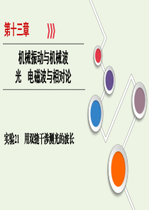 （山东专用）2021高考物理一轮复习 实验21 用双缝干涉测光的波长课件