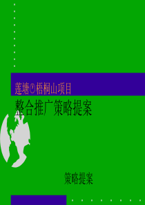 莲塘梧桐山项目整合推广策略提案