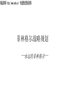 菲林格尔战略规划(1)