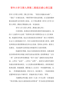 青年大学习第九季第二期观后感心得五篇