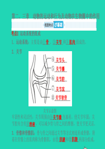 （聊城专版）山东省2019年中考生物总复习 第五单元 生物圈中的其他生物 第二-三章课件