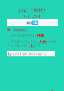 （聊城专版）山东省2019年中考生物总复习 第四单元 生物圈中的人 第一章 人的由来课件