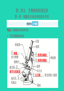 （聊城专版）山东省2019年中考生物总复习 第二单元 生物体的结构层次 第一章 细胞是生命活动的基本