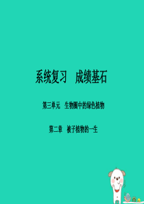 （聊城专版）2018年中考生物 第一部分 系统复习 成绩基石 第三单元 第2章 被子植物的一生 课件