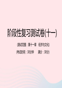 （江西专用）2019年中考地理总复习 仿真测试篇 阶段性复习检测卷（十一）课件