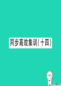 （江西专用）2018年中考地理 同步高效集训（十四）课件