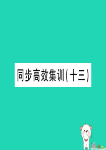 （江西专用）2018年中考地理 同步高效集训（十三）课件