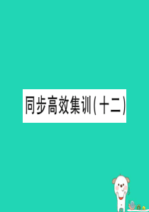 （江西专用）2018年中考地理 同步高效集训（十二）课件