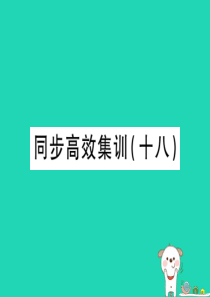 （江西专用）2018年中考地理 同步高效集训（十八）课件