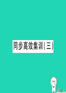 （江西专用）2018年中考地理 同步高效集训（三）课件