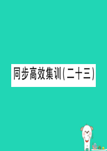 （江西专用）2018年中考地理 同步高效集训（二十三）课件