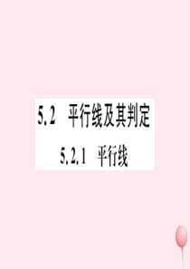 （江西专版）七年级数学下册 第五章 相交线与平行线5.2 平行线及其判定5.2.1 平行线习题课件（