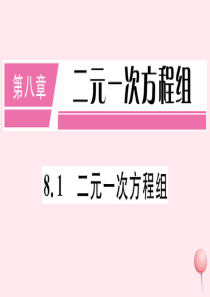 （江西专版）七年级数学下册 第八章 二元一次方程组8.1 二元一次方程组习题课件（新版）新人教版