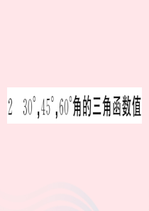 （江西专版）2020年春九年级数学下册 第1章 直角三角形的边角关系 2 30° 45° 60°角的