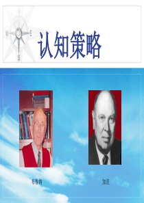 认知策略