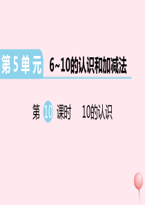 （江西专版）2019秋一年级数学上册 第5单元 6-10的认识和加减法 第10课时 10的认识习题课