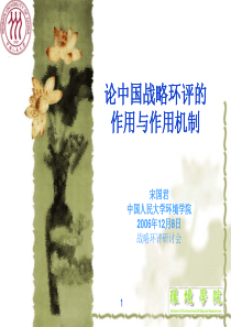 论中国战略环评的作用与作用机制061208-战略环评研讨会