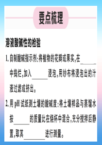 （江西专版）2018-2019学年九年级化学下册 第十单元 酸和碱 实验活动7 溶液酸碱性的检验习题