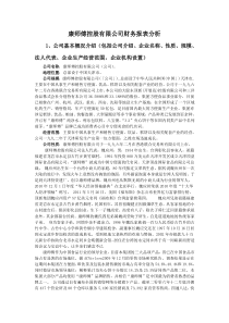 康师傅公司财务报表分析