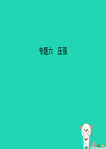 （湖南专版）2019中考物理 专题六 压强复习习题课件