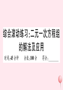 （湖北专版）七年级数学下册 综合滚动练习 二元一次方程组的解法及应用习题课件（新版）新人教版