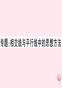 （湖北专版）七年级数学下册 专题 相交线与平行线中的思想方法习题课件（新版）新人教版