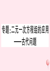 （湖北专版）七年级数学下册 专题 二元一次方程组的应用——古代问题习题课件（新版）新人教版