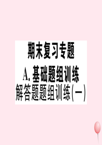 （湖北专版）七年级数学下册 解答题题组训练（一）习题课件（新版）新人教版