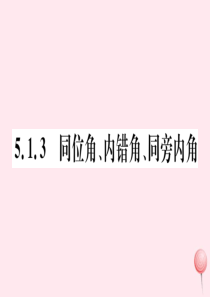 （湖北专版）七年级数学下册 第五章 相交线与平行线5.1 相交线5.1.3 同位角、内错角、同旁内角