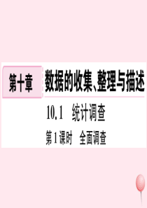 （湖北专版）七年级数学下册 第十章 数据的收集、整理与描述10.1 统计调查第1课时 全面调查习题课