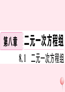 （湖北专版）七年级数学下册 第八章 二元一次方程组8.1 二元一次方程组习题课件（新版）新人教版