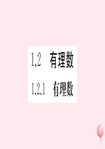 （湖北专版）七年级数学上册 第一章 有理数1.2 有理数1.2.1 有理数习题课件（新版）新人教版