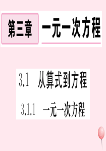 （湖北专版）七年级数学上册 第三章 一元一次方程3.1.1 一元一次方程习题课件（新版）新人教版