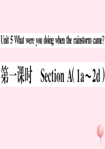 （河南专版）八年级英语下册 Unit 5 What were you doing when the 