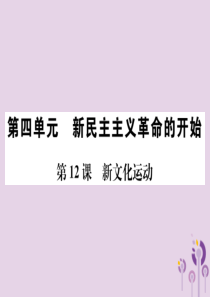 （河南专版）2018年八年级历史上册 第四单元 新民主主义革命的开始 第12课 新文化运动课件 新人