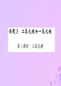 （河南专版）2018-2019版九年级化学上册 第六单元 碳和碳的氧化物 课题3 第1课时 二氧化碳