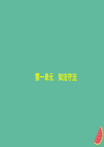 （河北专版）2019中考政治总复习 学法知法 宪法至上 第一单元 知法守法习题课件