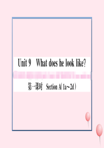 （贵州专版）七年级英语下册 Unit 9 What does he look like第一课时习题课