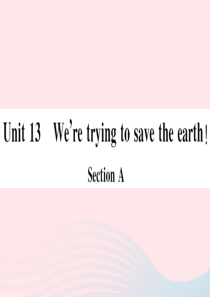 （贵州专版）2019秋九年级英语全册 Unit 13 We’re trying to save th