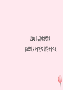 （贵州专版）2019秋九年级化学下册 第十一单元 盐 化肥 课题1 生活中常见的盐第2课时 复分解反