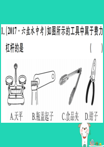 （贵州专版）2019春八年级物理下册 第十二章 简单机械小结与复习习题课件 （新版）新人教版